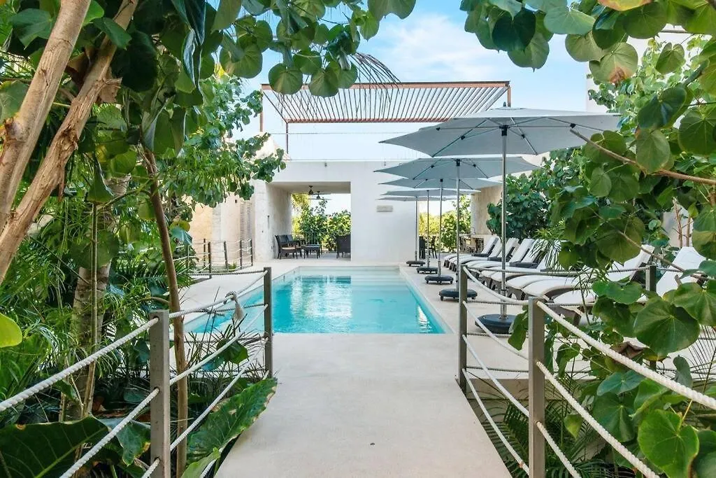 Akumal Bay With Access To The Beach 7 Rooftop Pools Apartment