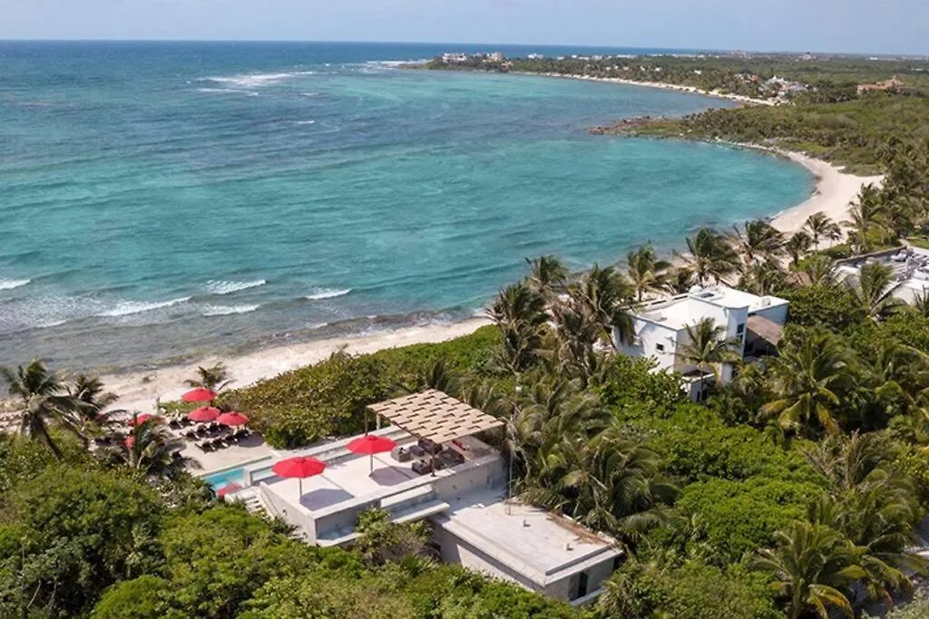 Akumal Bay With Access To The Beach 7 Rooftop Pools Mexiko