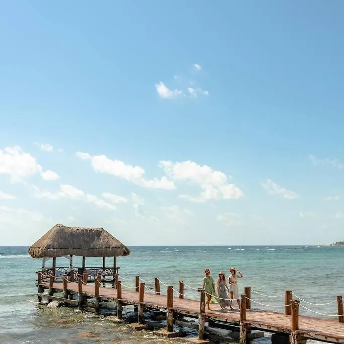 Akumal Bay With Access To The Beach 7 Rooftop Pools Apartment