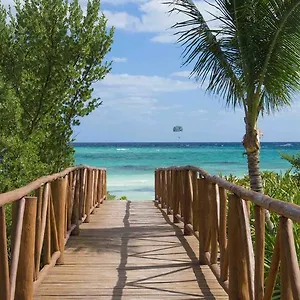 Unico Riviera Maya Adults Only Акумаль